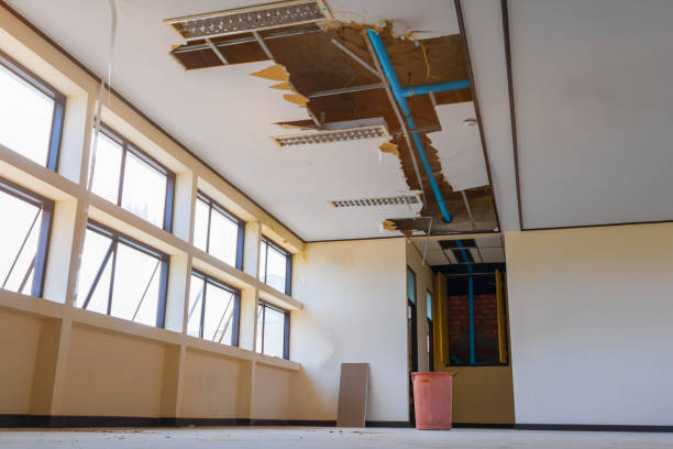 Best Water damage restoration near me  in Covington, KY