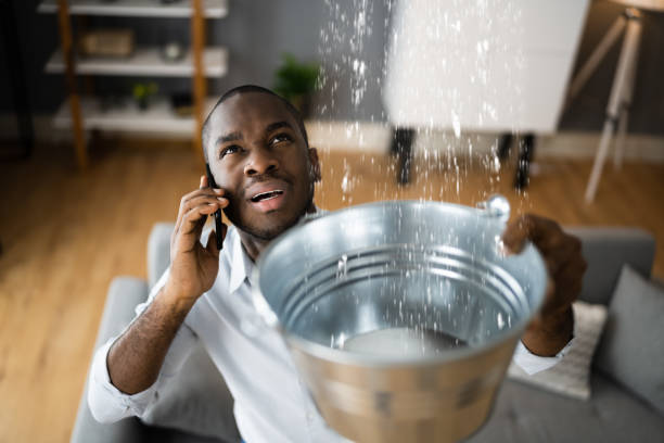 Best 24/7 water damage repair  in Covington, KY