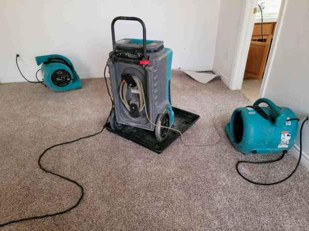Best Fire Damage Restoration  in Covington, KY