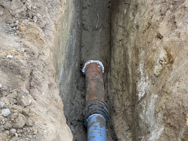 Best Flood restoration services  in Covington, KY