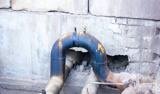 Best Carpet water damage restoration  in Covington, KY
